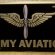 Aviation license